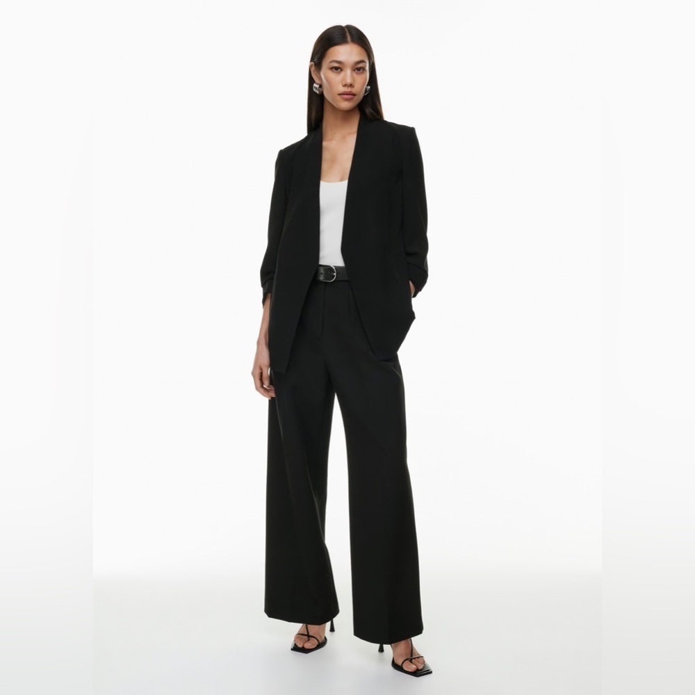 Aritzia Babaton New Power Blazer